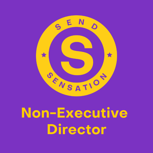 Image of SEND Sensation logo with words 'non-executive director'